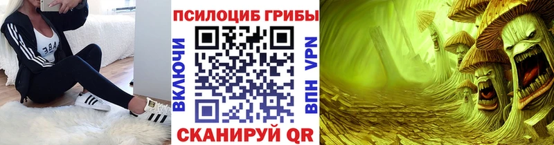 Купить где  Димитровград  Псилоцибиновые грибы Cubensis 